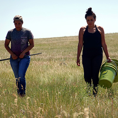 OSU/BLM/Fort Belknap Indian Community Grassland Restoration Project